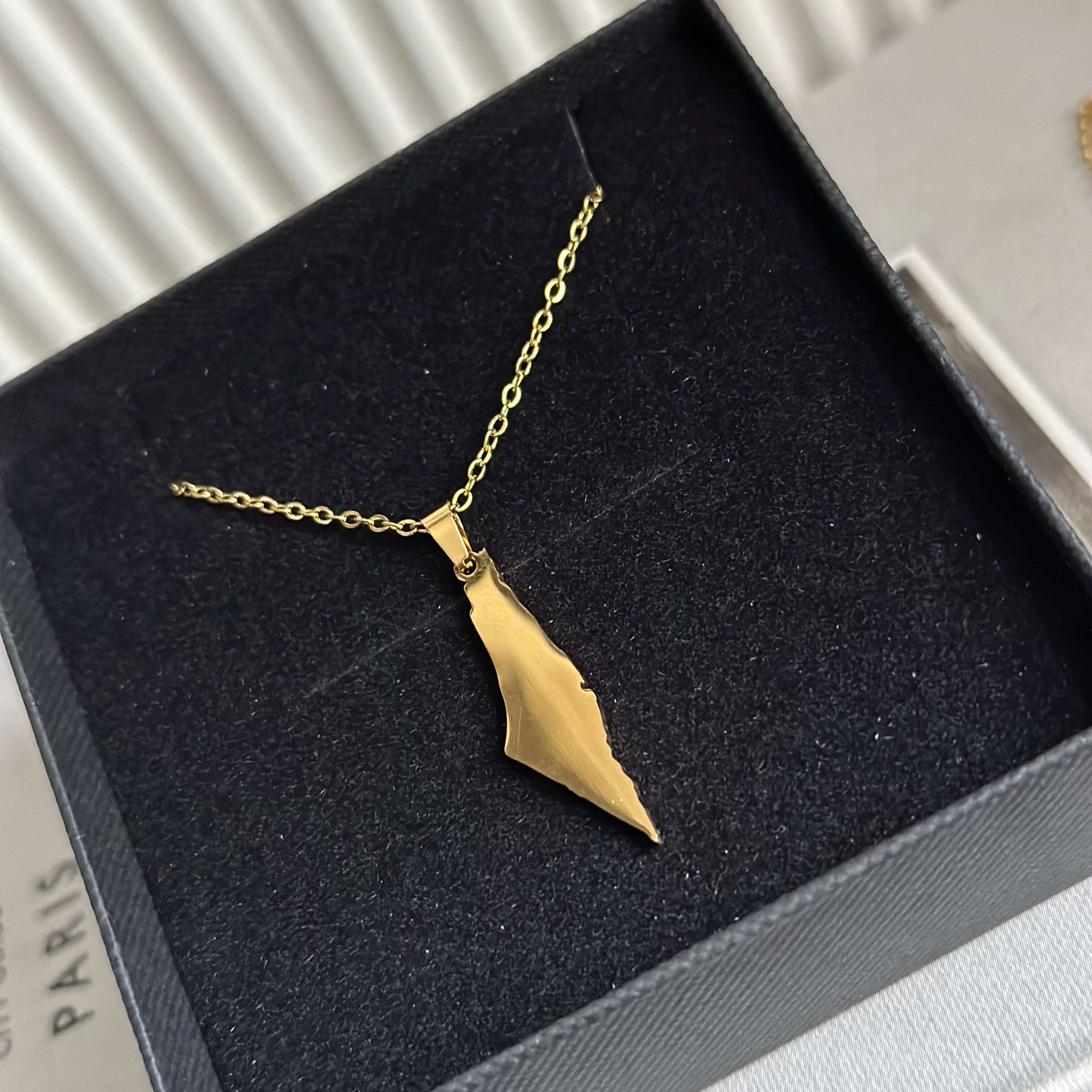 Gold Palestine Map Necklace - Designs by Inaya
