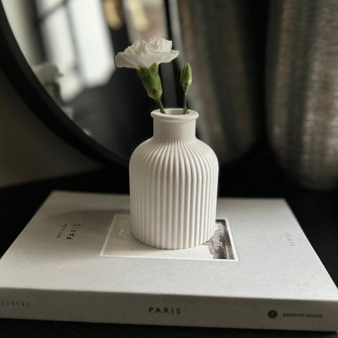 Decor Vase with reed sticks