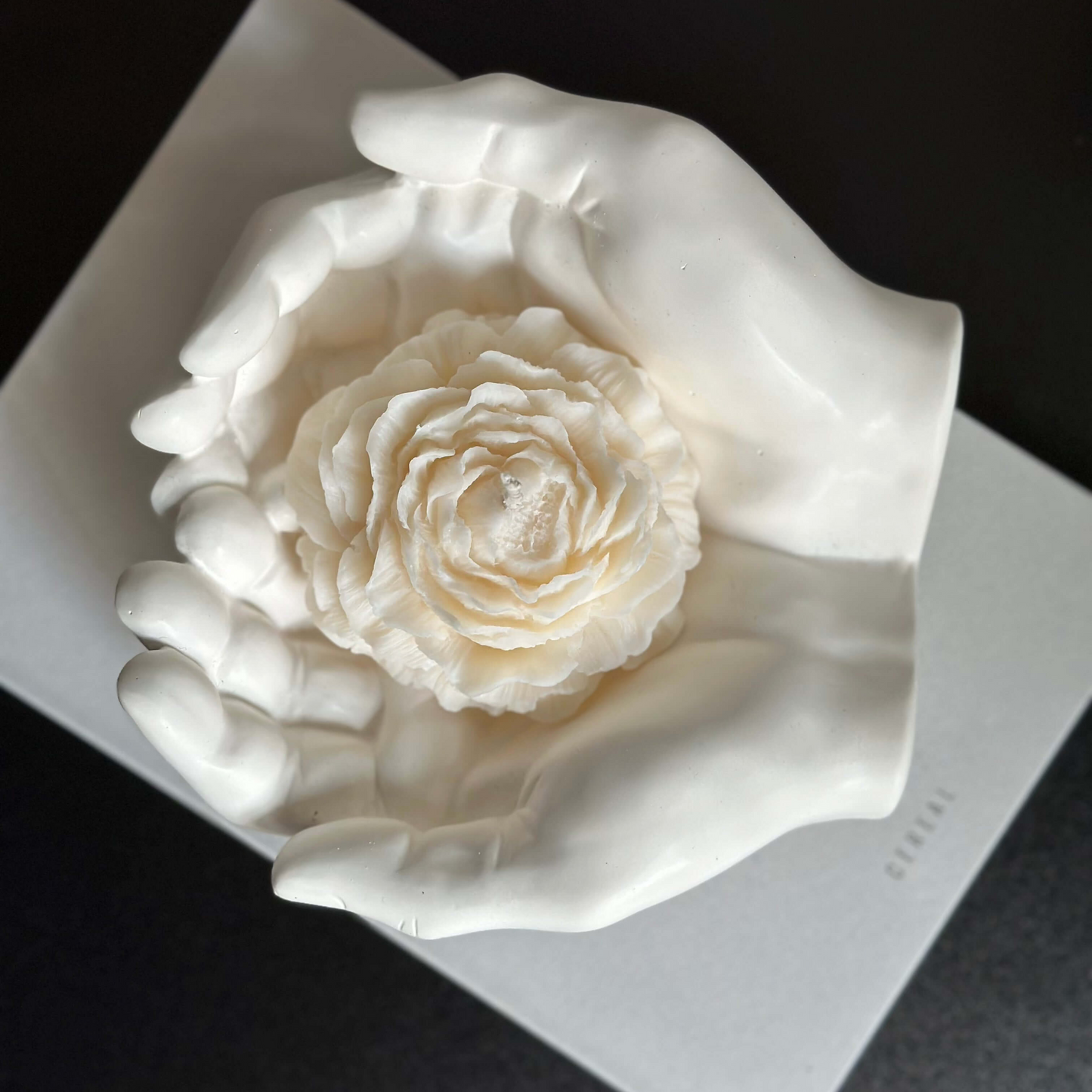 Stone Sculpture Hands - Designs by Inaya
