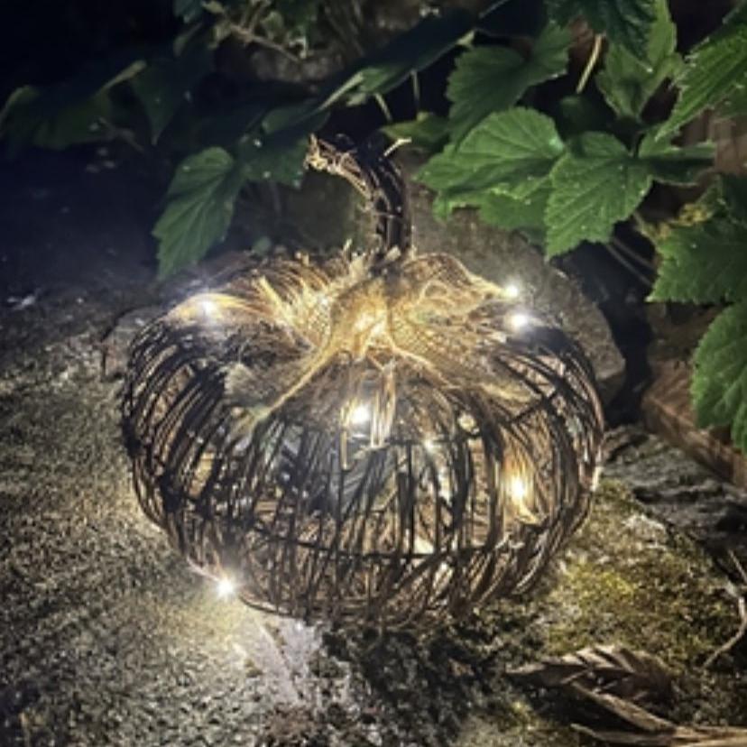 LED Brushwood Light up Pumpkin (INDOOR and OUTDOOR ) - Designs by Inaya