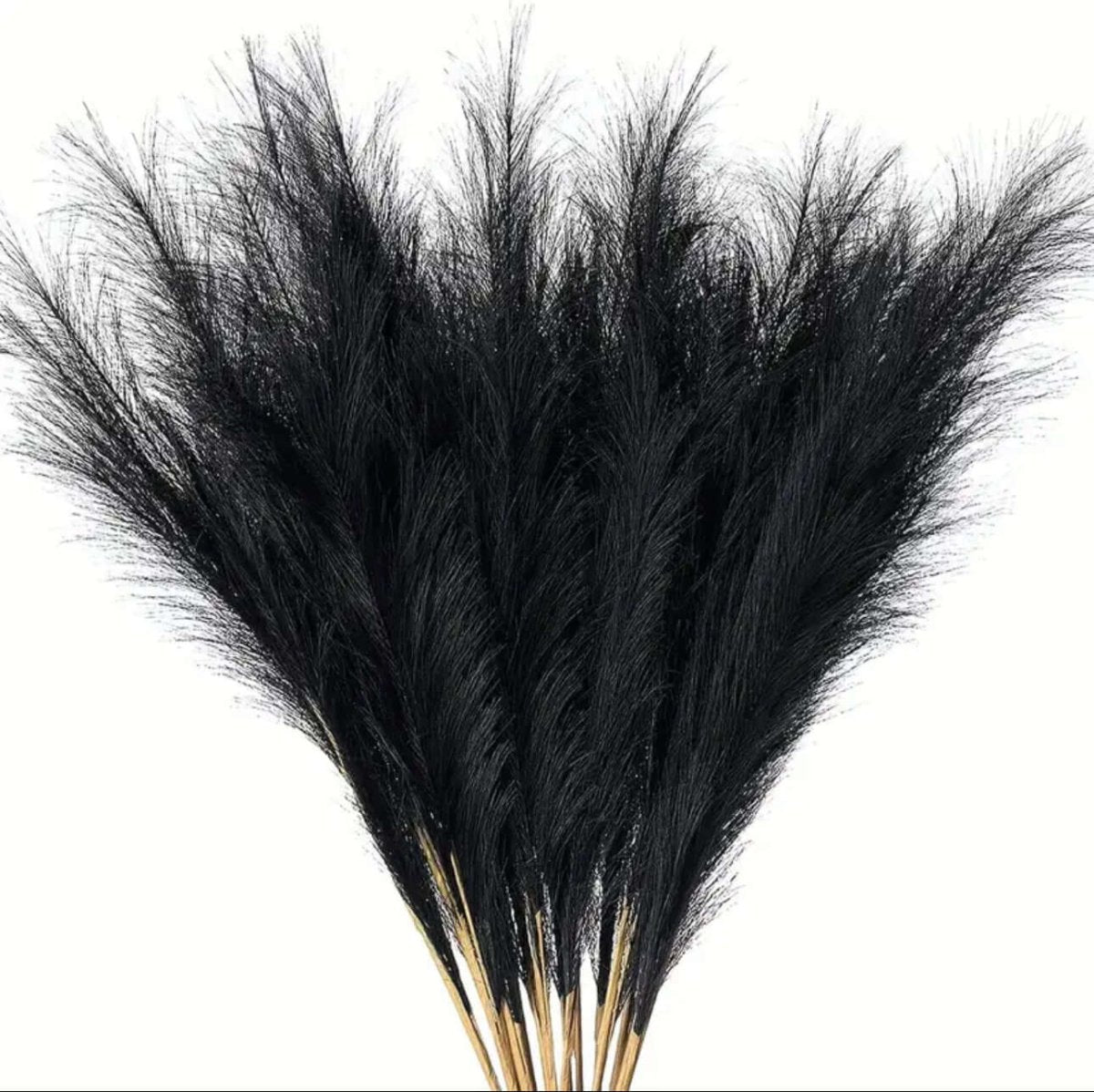 Black Faux Pampas Grass 15 stems - Designs by Inaya